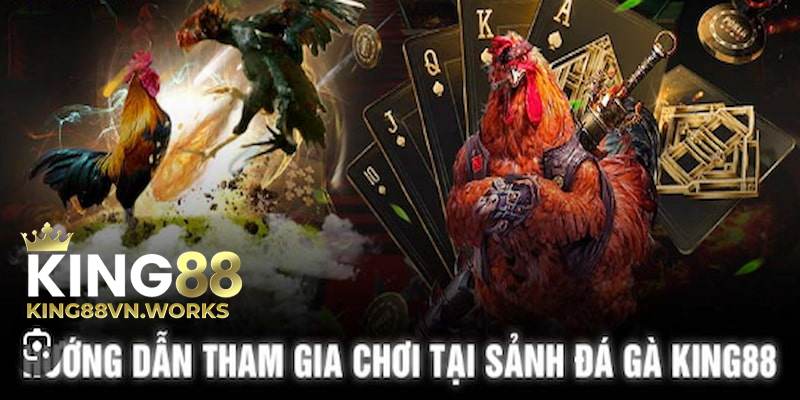 Hướng dẫn tham gia sảnh gà King88
